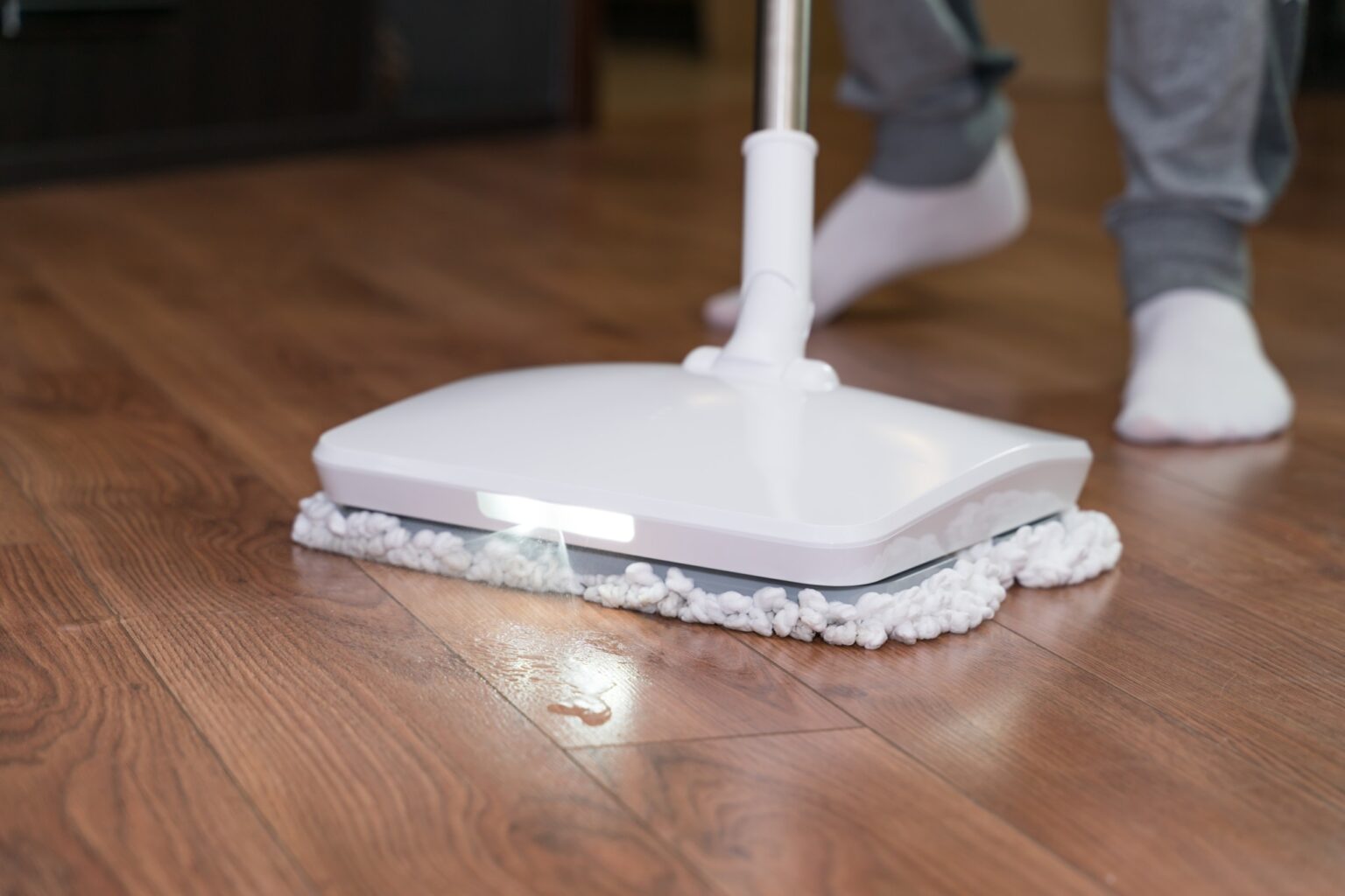 Will Steam Cleaning Hardwood Floors Kill Fleas? The Right Approach to Use