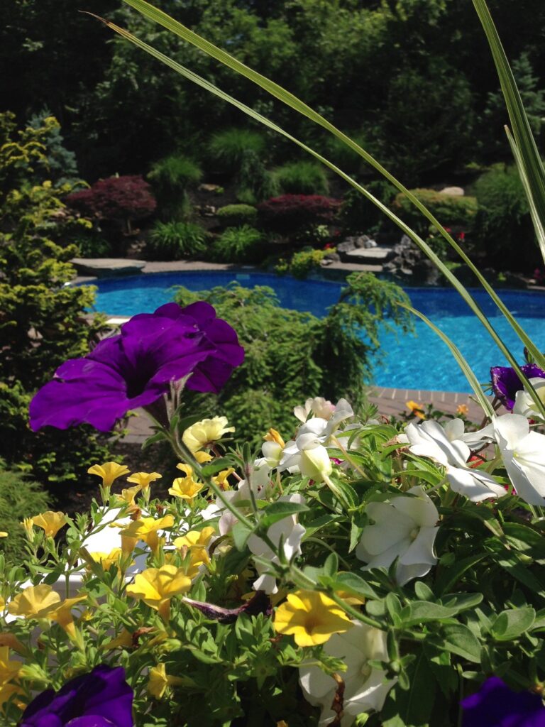 tropical oasis backyard on Tropical Ideas For Backyard